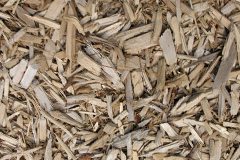 biomass boilers Gortnalee